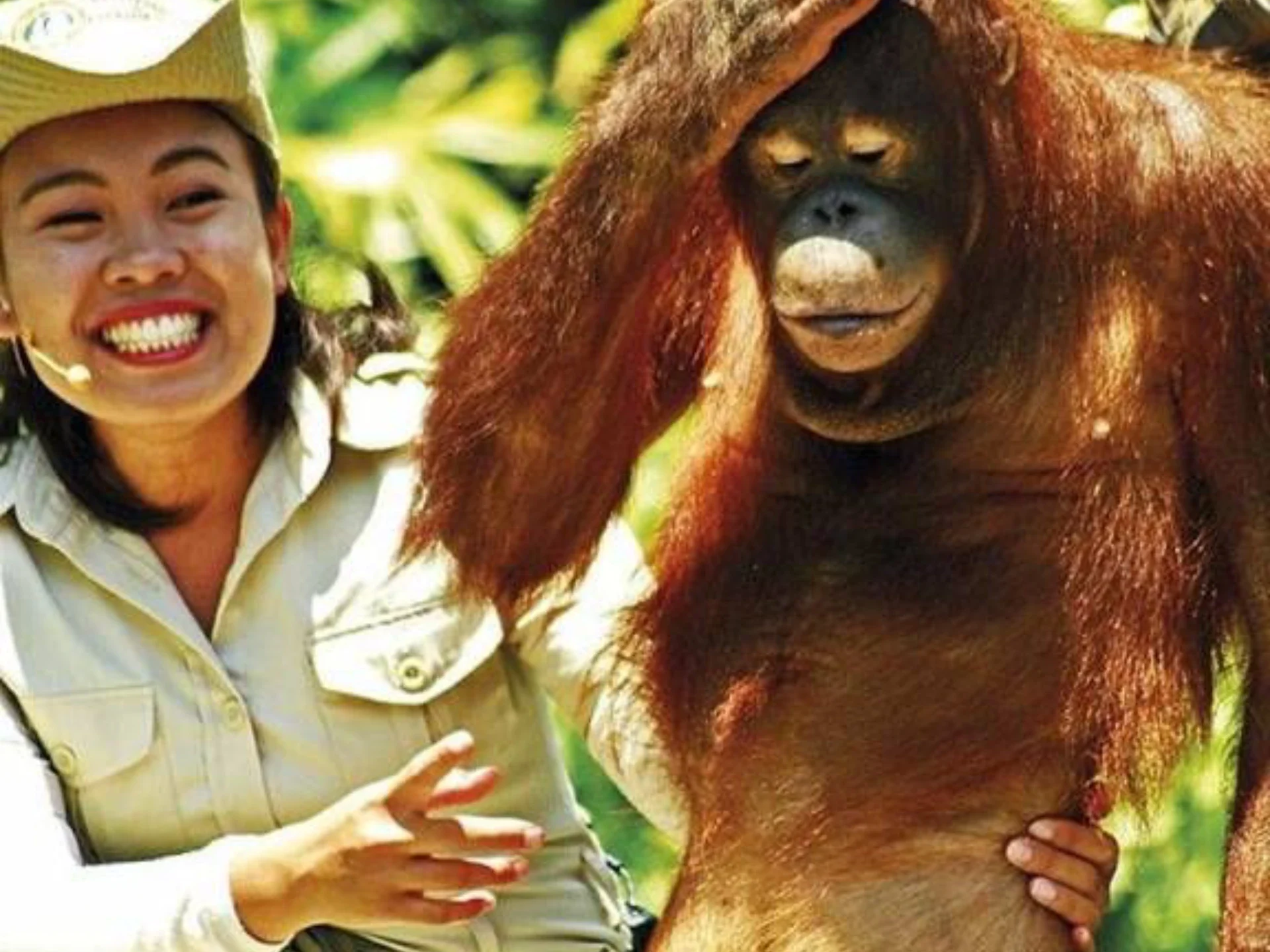 Bali Safari and Marine Park