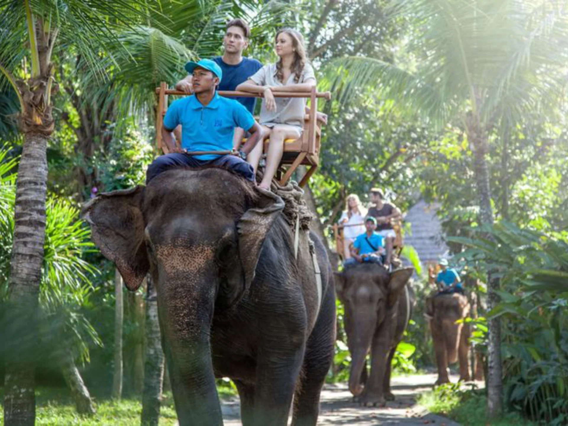 Bali Zoo Elephant Expedition is the most comprehensive elephant tour package in Bali with the zoo experience_ Furthermore, this elephant tour package will take y (1)