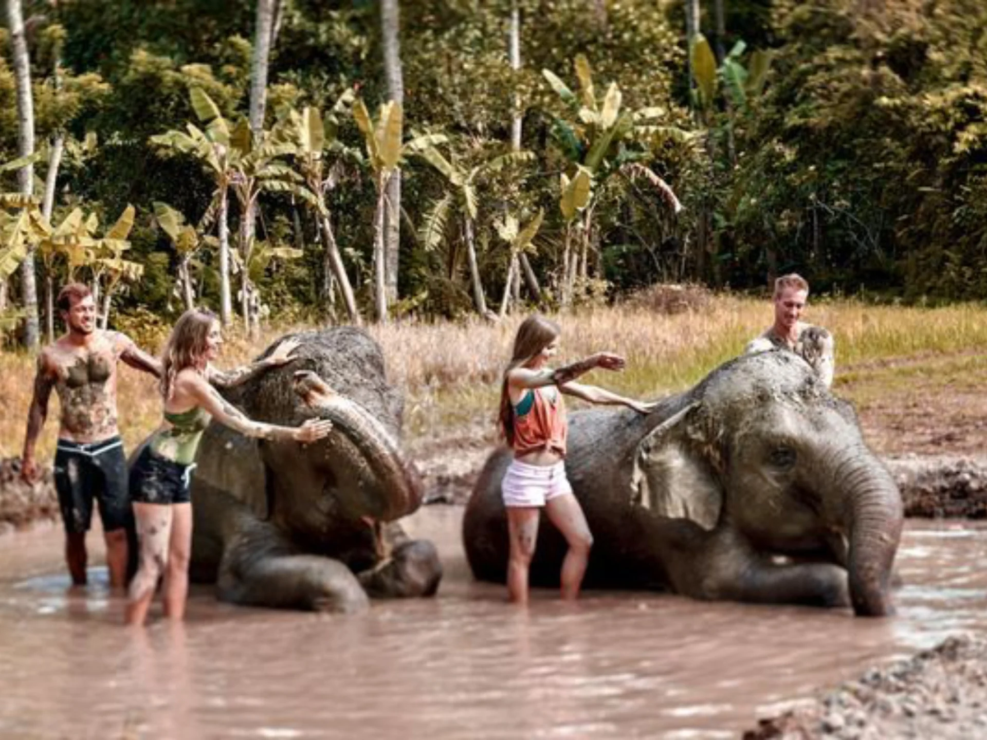 Fun in the mud with the elephants at Bali Zoo https___drifttravel_com_elephant-mud-fun_ #bali #zoo #travel #indonesia #thebalibible #balilife #explorebali #beach #instatravel #animallovers #wildlife (1)