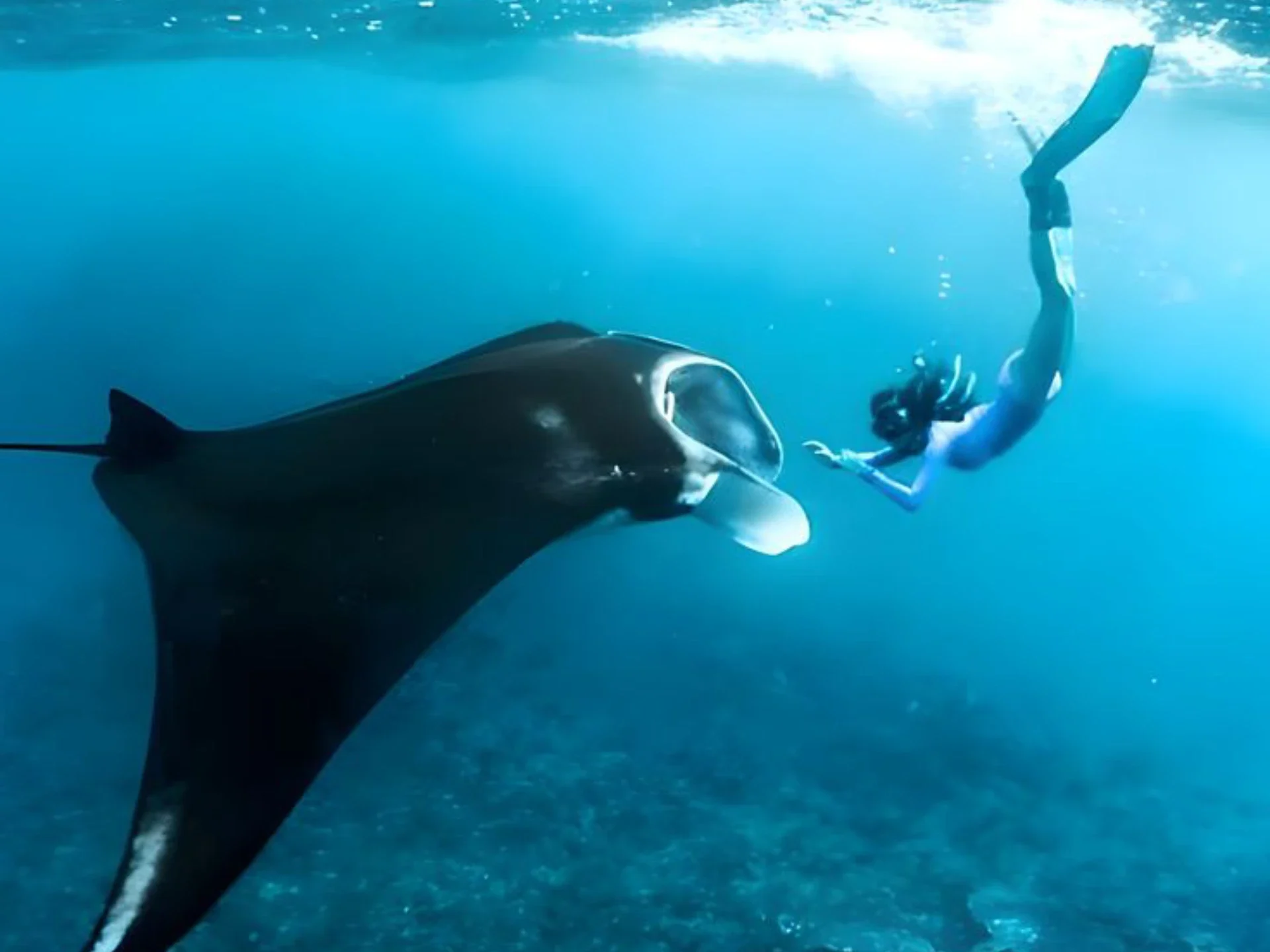 Nusa Penida Island Beach Tour With Snorkeling - Departure From Bali Island