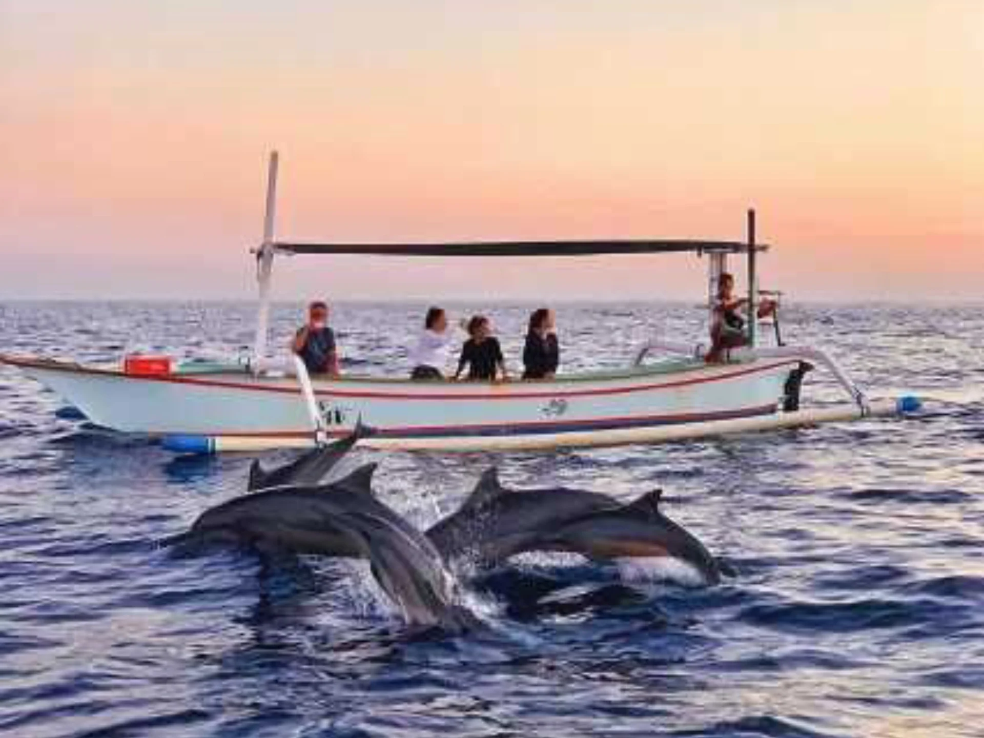 The BEST Lovina Tours and Excursions in 2026 - FREE Cancellation _ GetYourGuide (1)